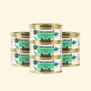Ocean-fresh Fish (in jelly) - 7 tins - Image 2